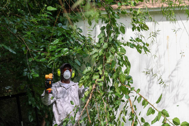 Best Lawn Pest Prevention  in Bristol, IN